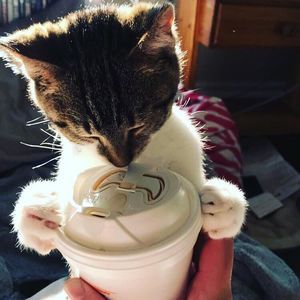 Meet your Posher, Jackie